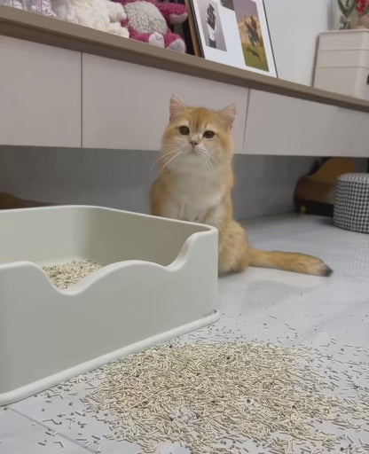 Tappetino per gatti - MiciaClean